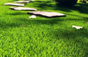 Détail pelouse synthétique pour jardin